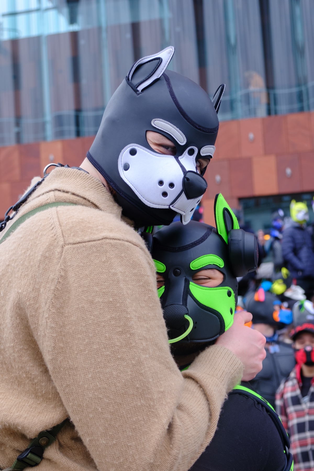 Pup cuddle at Darklands