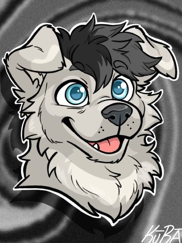 Fen, a grey and white golden retriever pup with bright blue eyes