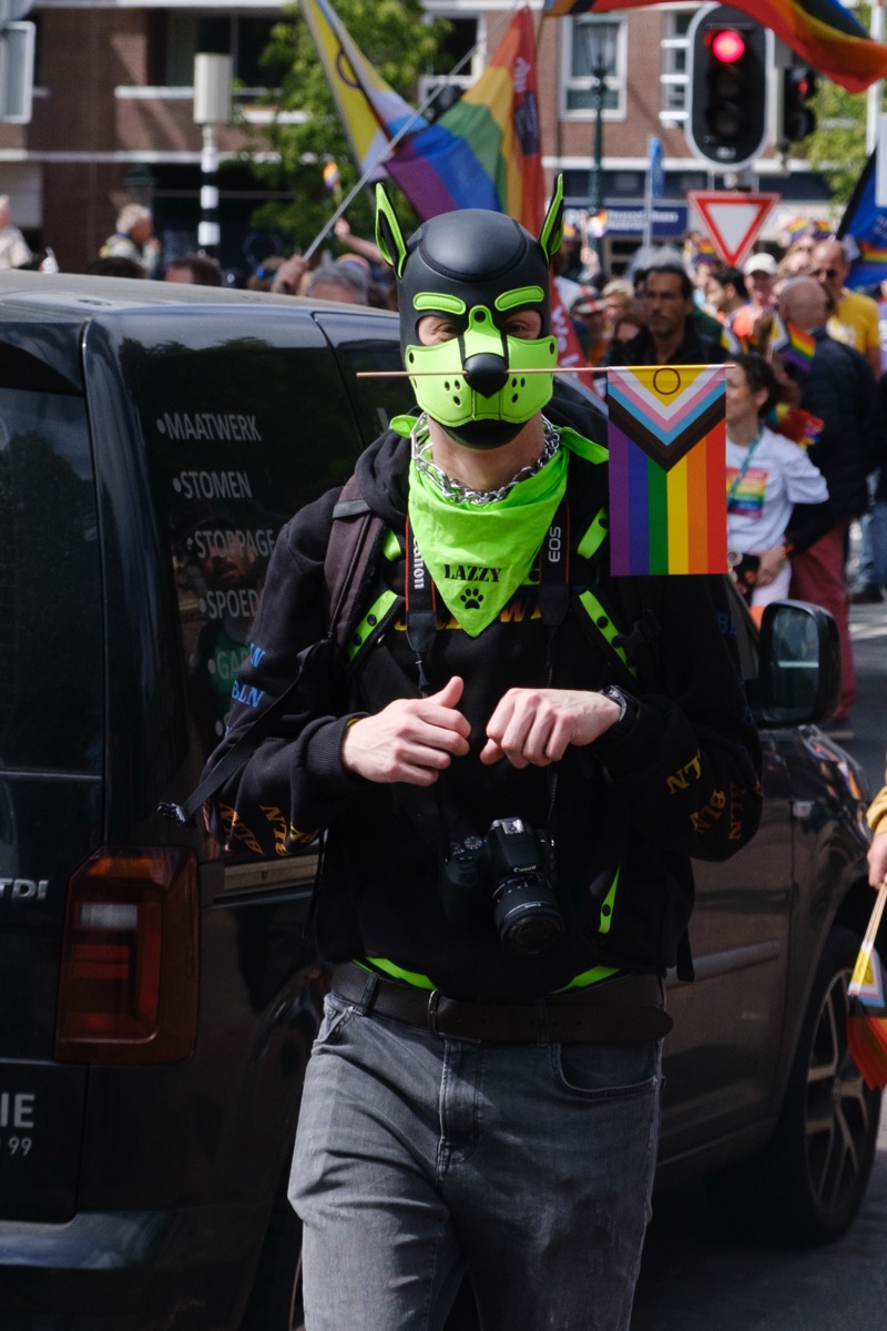 Pup at Pride The Hague walk